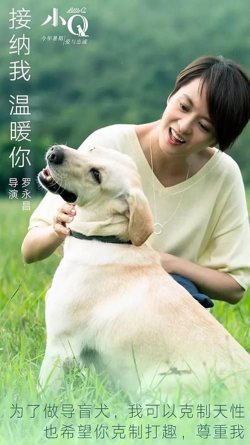 加努恩大学文凭毕业证作假